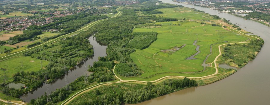Polders van Kruibeke