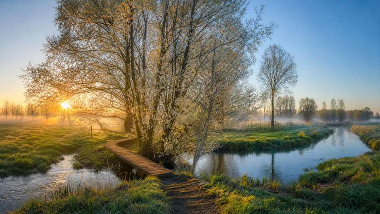 Winterlus door Muizen en het Mechels Broek